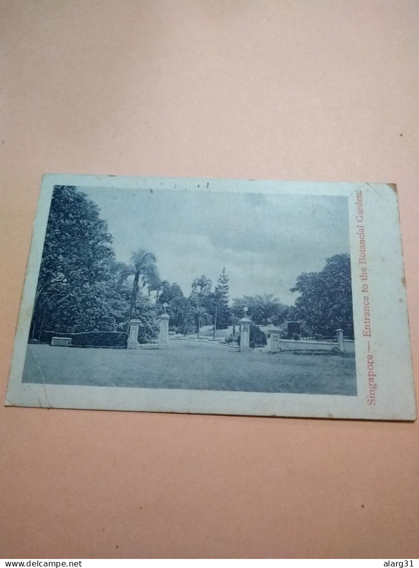 Singapur Rare B  Pmk.botanical Gardens View 1919.rare Destine Perú Unique Usual Corner.e7 Reg Post.conmem.1 Or 2 Pieces. - Singapore (...-1959)