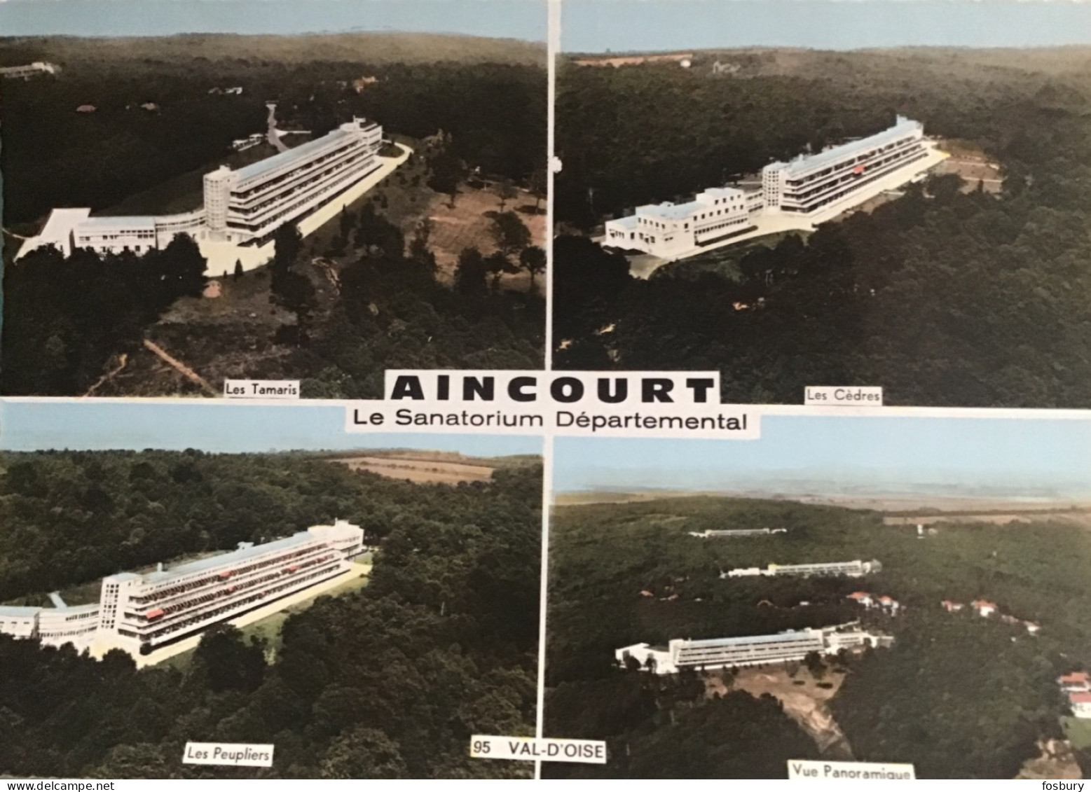 L2 Aincourt Le Sanatorium Départemental - Aincourt