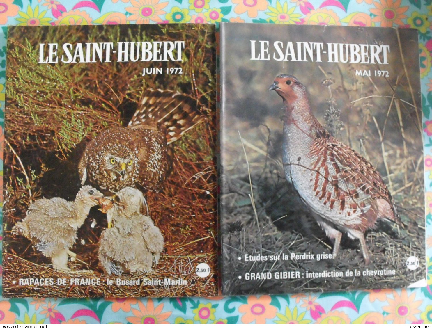 Lot De 12 Revues Le Saint Hubert De 1972. Mensuel. Chasse, Pêche. Année Complète. - Jagen En Vissen