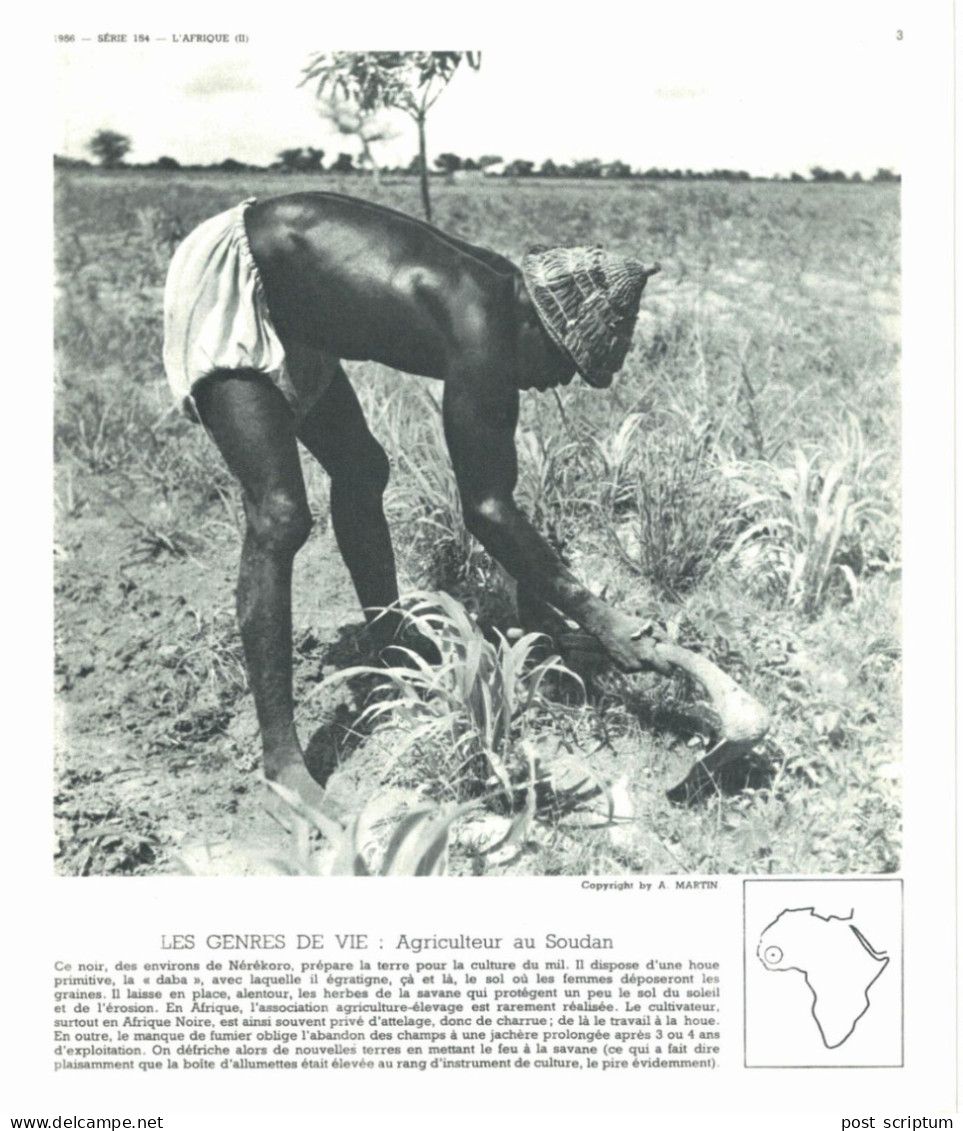 Photo  -  Reproduction -  Soudan - Agriculteur - Afrique