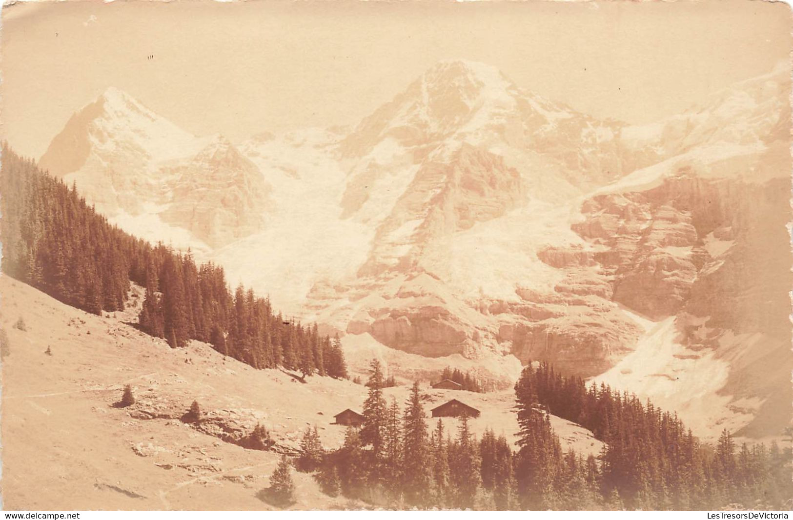 SUISSE - Wengen - Eiger - Mönch - Carte Postale Ancienne - Wengen