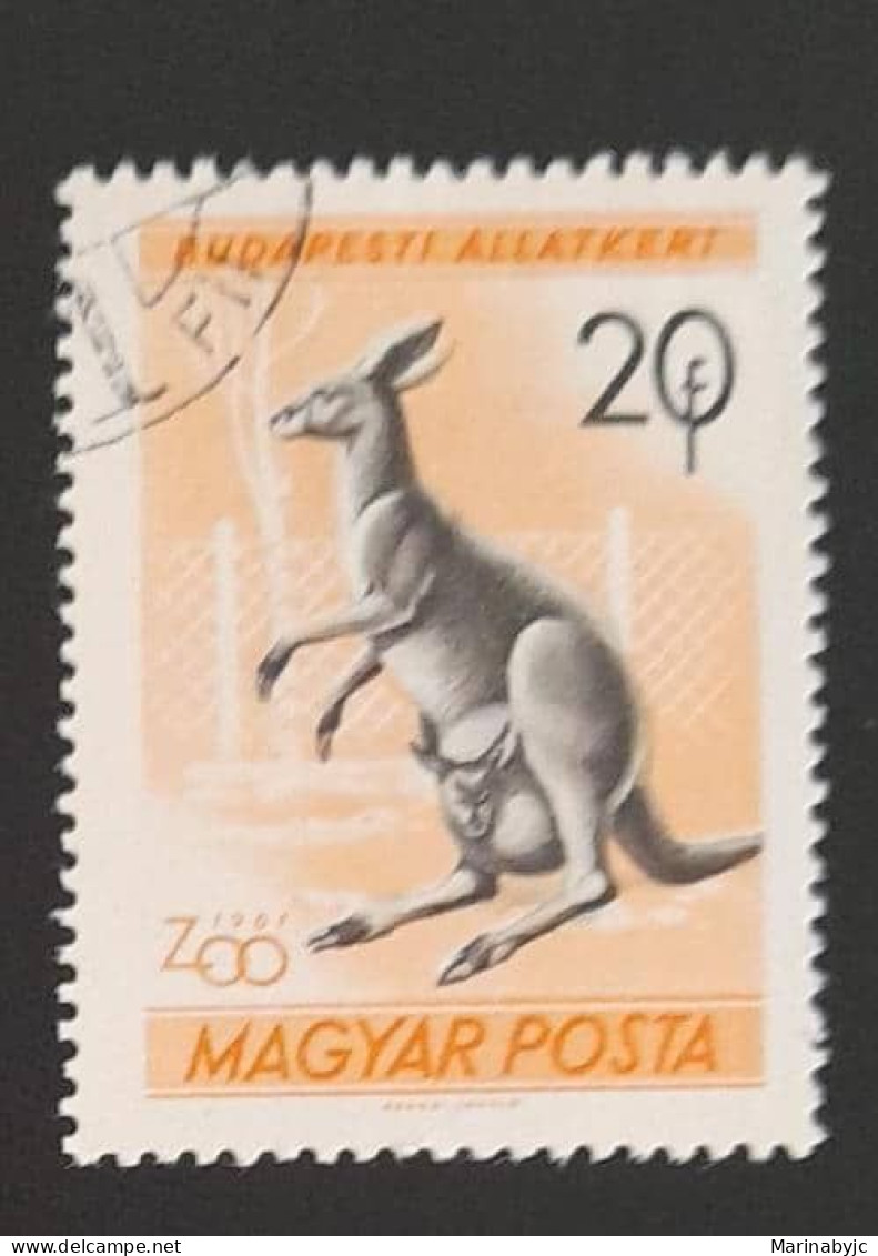 SD)1961. HUNGARY. KANGAROO. USED - Sammlungen