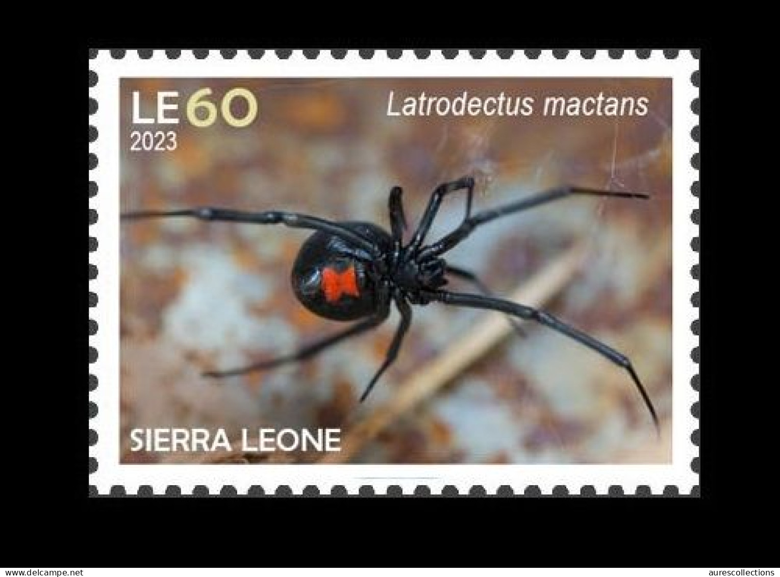 SIERRA LEONE 2023 STAMP 1V - POISONOUS TOXIC VENOMOUS - SPIDERS SPIDER ARAIGNEE BLACK WIDOW VEUVE NOIRE - MNH - Spinnen