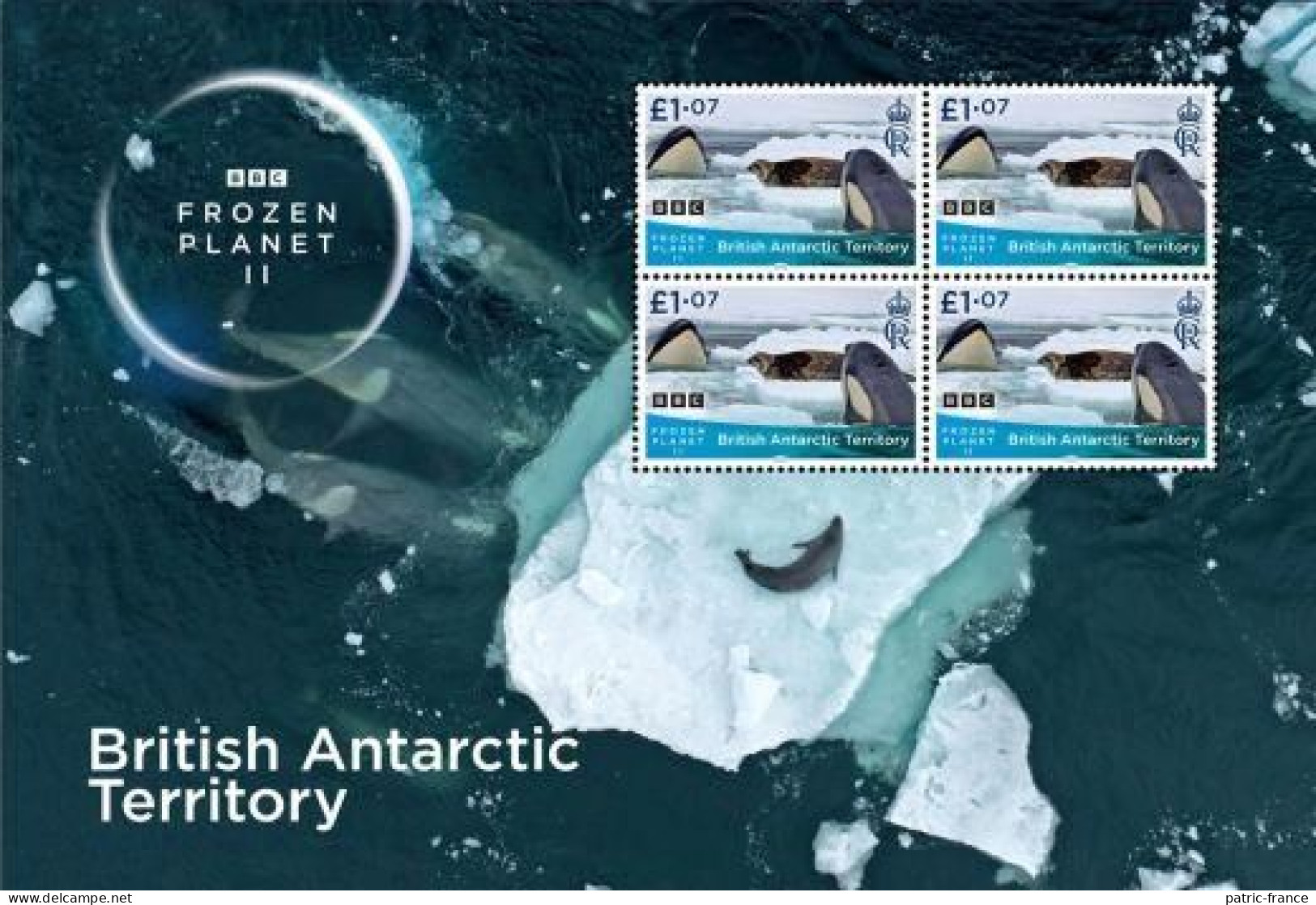 British Antarctic 2023 Frozen Planet BBC - Feuillet Orques (valeurs 1.07) - Unused Stamps