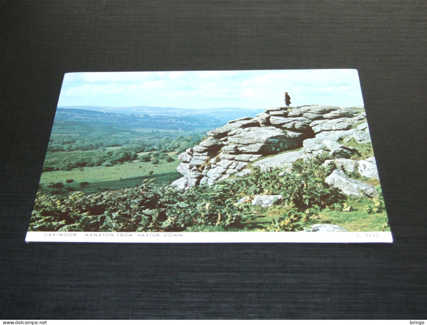 65146-              ENGLAND, DEVON, DARTMOOR - Dartmoor