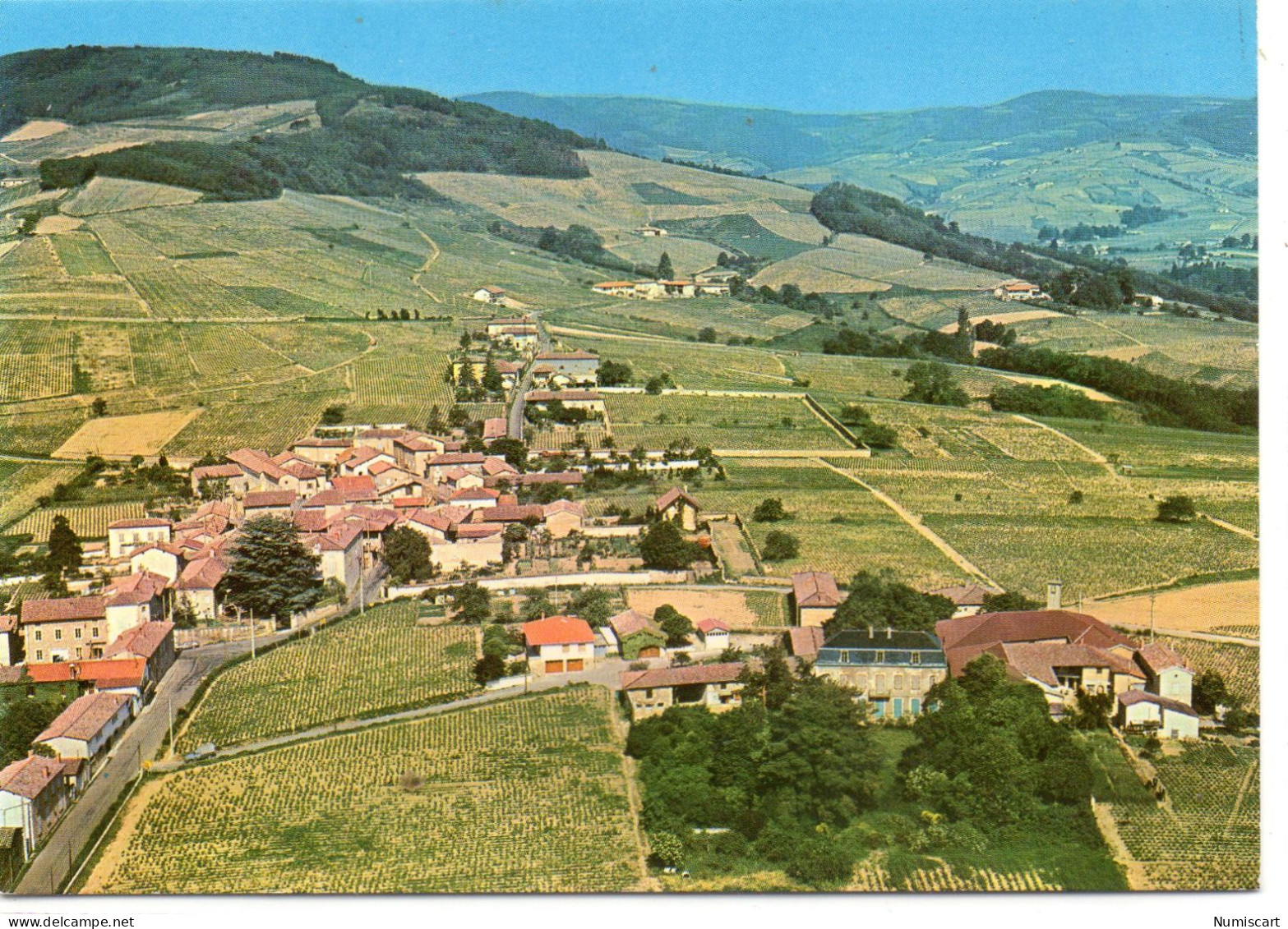 Chenas Belle Vue Aérienne Vignoble "Les Deschamps" Vins - Chenas