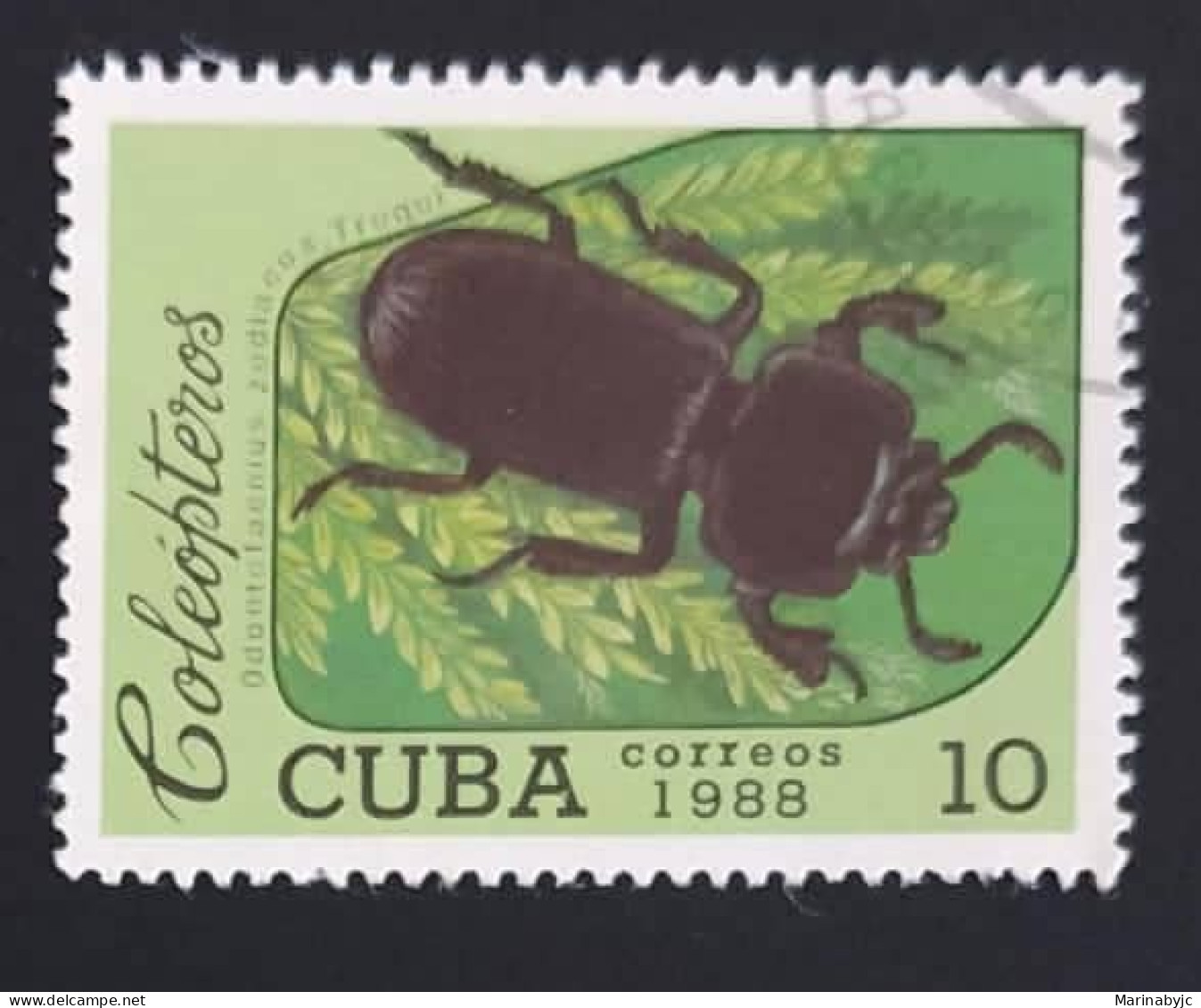 SD)1988 CUBA. BEETLE. FAUNA. USED - Collezioni & Lotti