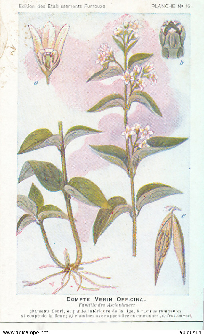 AX 27- C P A -LOT DE 6  -  SANTE PLANTES MEDICINALE ILLUSTRATEUR H.FRANTZ