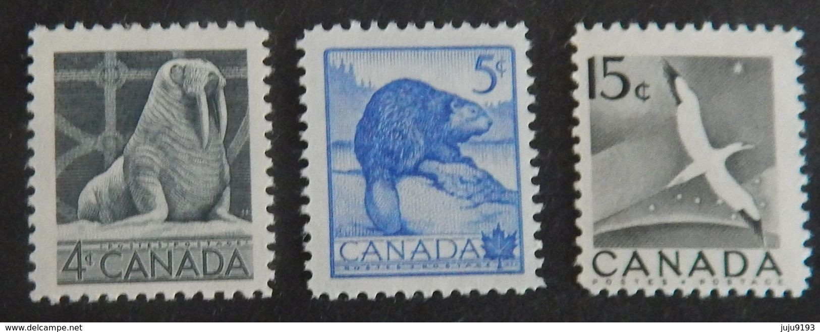 CANADA YT 273/275 NEUFS**MNH "FAUNE SAUVAGE" ANNÉE 1953 - Neufs