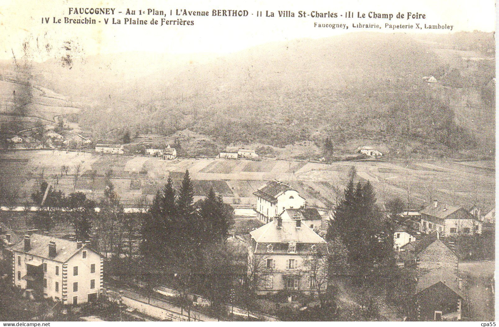 FAUCOGNEY  -  L'Avenue BERTHOD  -  La Villa St-Charles  -  Le Champ De Foire  -  Le Breuchin  -  Plaine De Ferrières - Faucogney