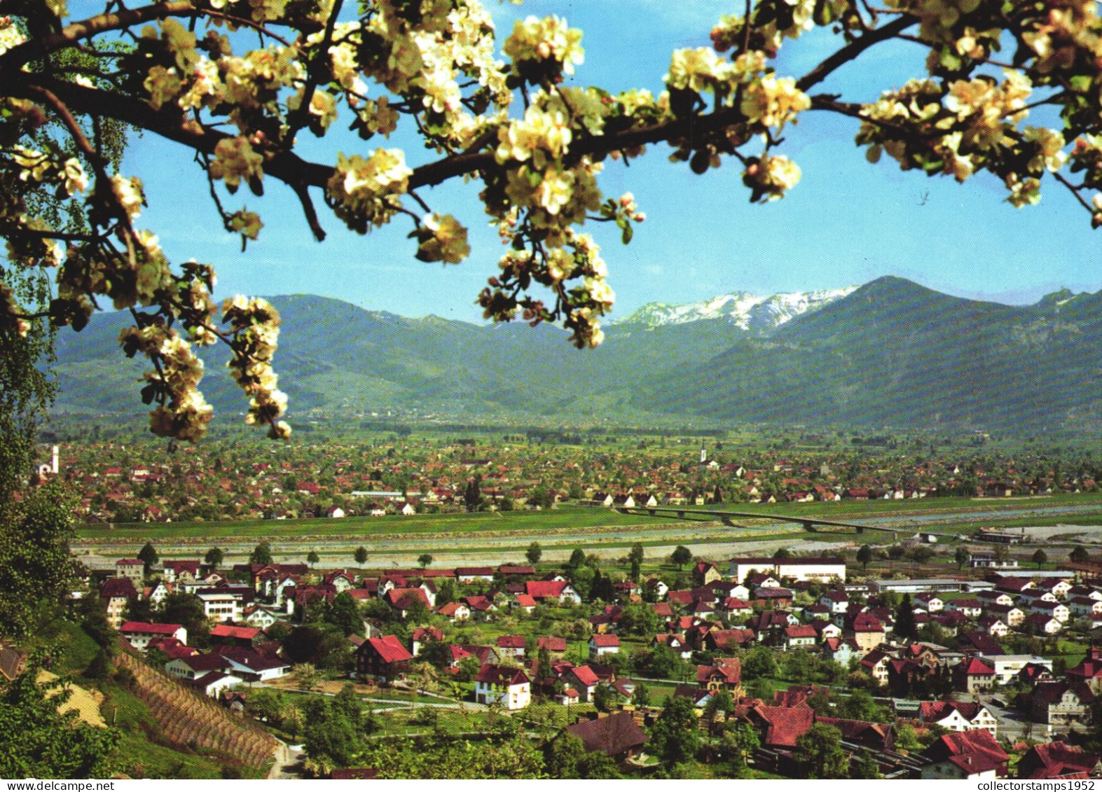 AUSTRIA, VORARLBERG, LUSTENAU, PANORAMA, BLOOMING TREE, MOUNTAIN - Lustenau