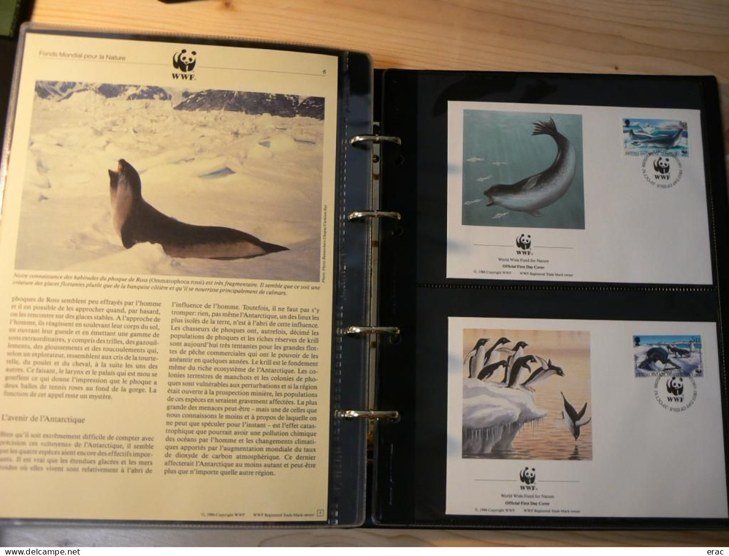 WWF - Lot de 2 albums avec boites - Années 1980/90 - Documents, FDC, CP, TP ** - Excellent état