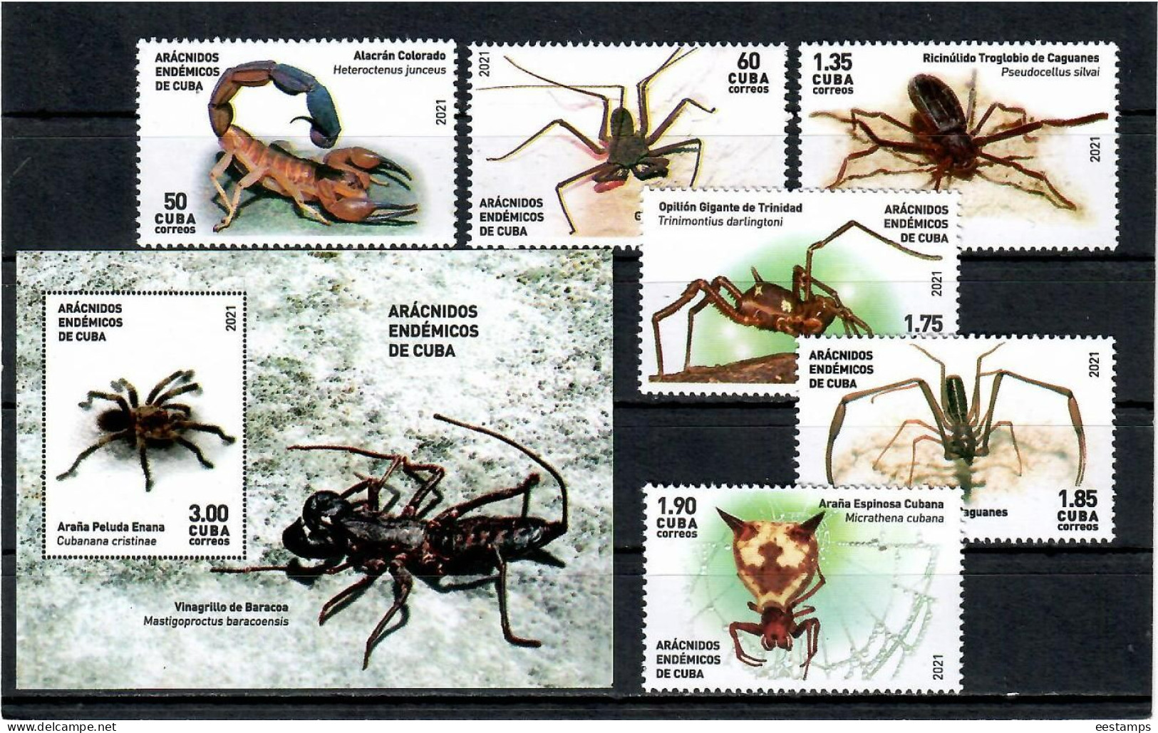 Cuba 2021 . Insects Spiders  Arachnids . 6v. + S/S - Ongebruikt