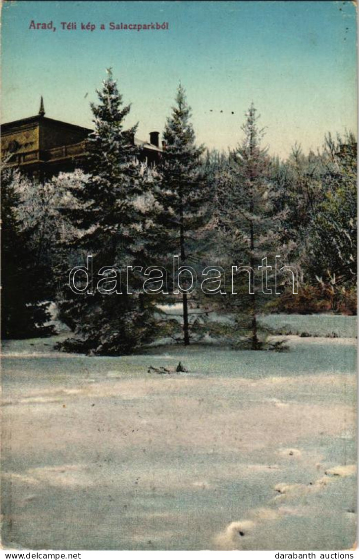 T2/T3 1922 Arad, Téli Kép A Salacz Parkból. Matusik Felvétele. Kerpel Izsó Kiadása / Winter In The Park (EK) - Unclassified