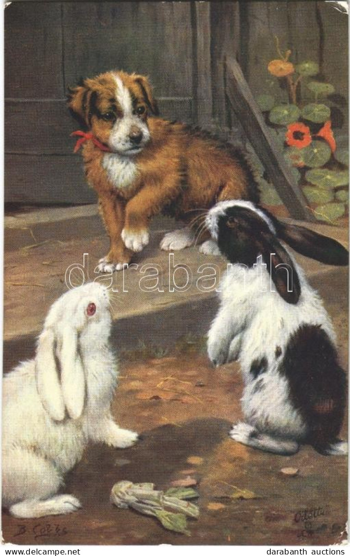 T2/T3 1916 "Among The Bunnies" Dog With Rabbits, Raphael Tuck & Sons "Oilette" No. 9539, S: B. Cobbs (EK) - Non Classificati