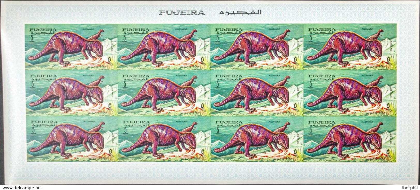 Southeast Arabia Fujeira - Fujeira