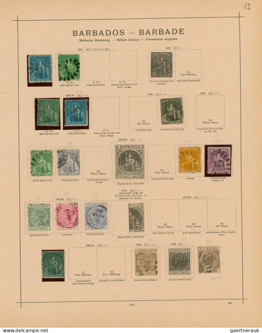 Nachlässe: 1850-1923 Ca.: Altes, Dickes Schaubek-Album Von 1923 Mit Ungebrauchte - Lots & Kiloware (mixtures) - Min. 1000 Stamps