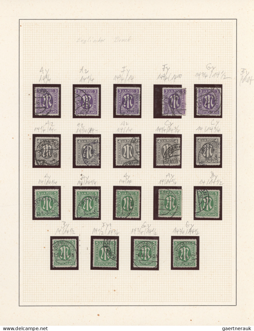 Bizone: 1945, AM-Post Britischer Druck, Umfassende Spezialsammlung Von über 700 - Sonstige & Ohne Zuordnung