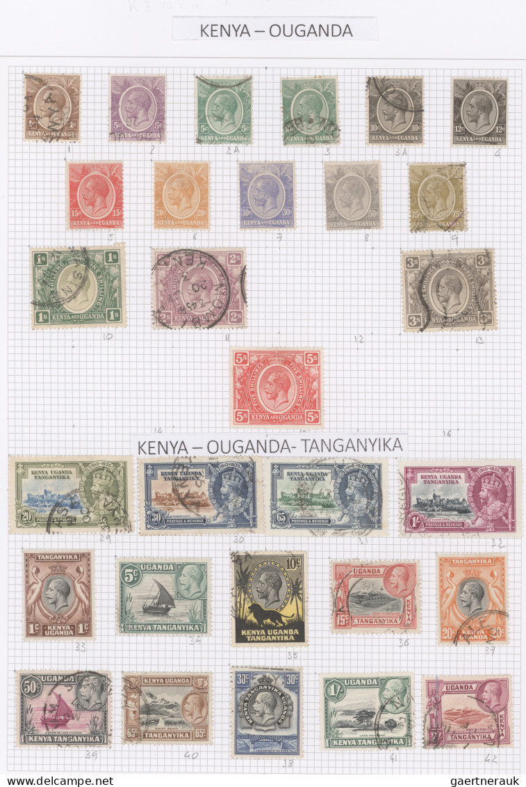 British Colonies: 1855/1970 (ca.), Used And Mint Collection In Four DAVO Albums, - Sonstige & Ohne Zuordnung