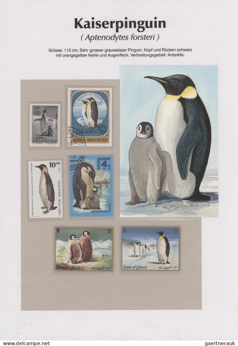 Thematics: animals-birds: 1960/2000 (ca.), comprehensive thematic collection wit