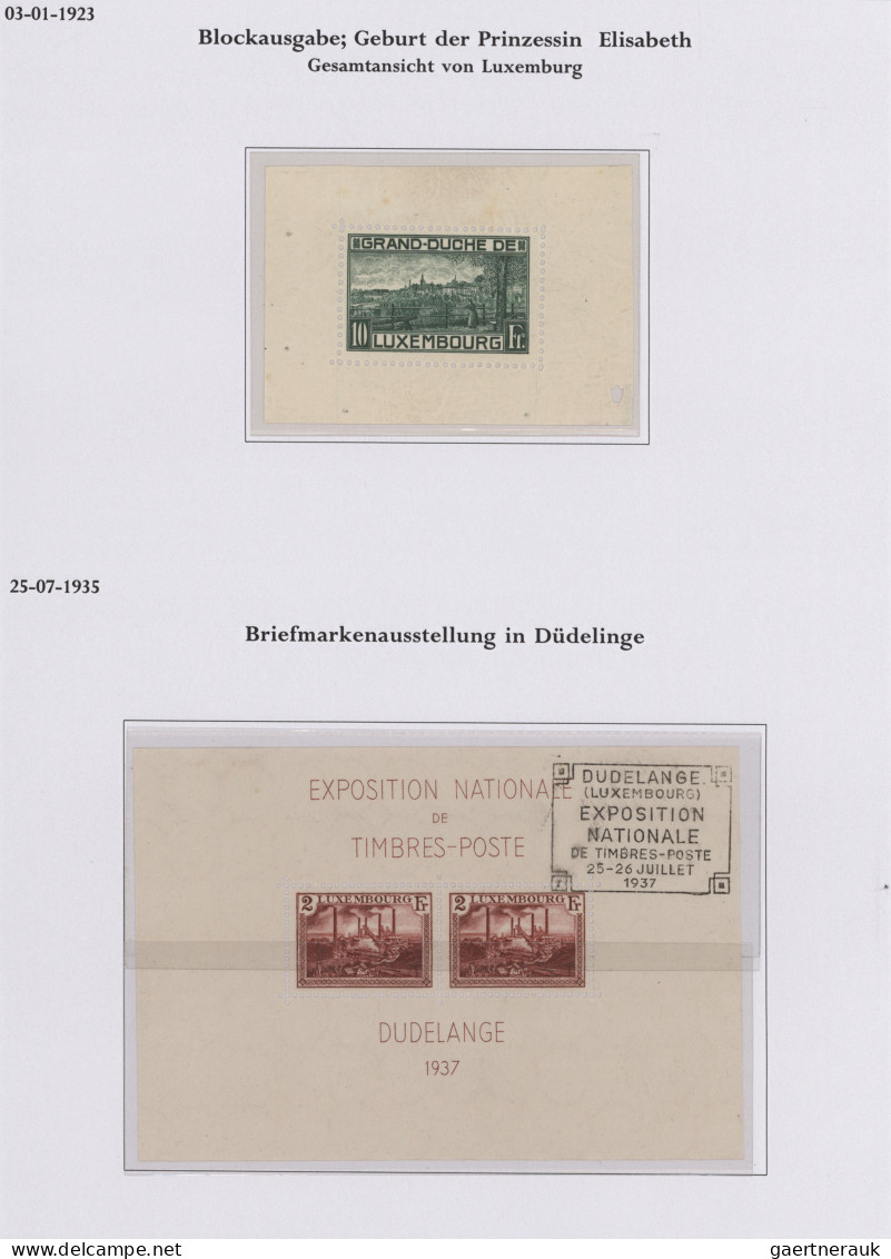 Luxembourg: 1852/1937, Used And Unused Collection On Individually Arranged Album - Otros & Sin Clasificación