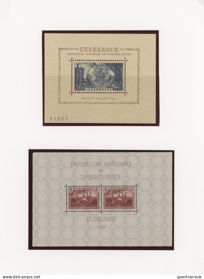 Luxembourg: 1923/1995, Mint Assortment Of Mini Sheets Incl. 1923 Princess Souven - Other & Unclassified