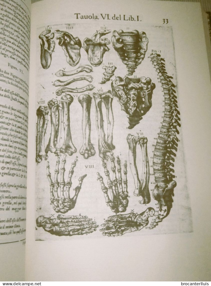 ANATOMIA DEL CUERPO HUMANO de JUAN VALVERDE 1560 FACSIMIL (NUEVO)