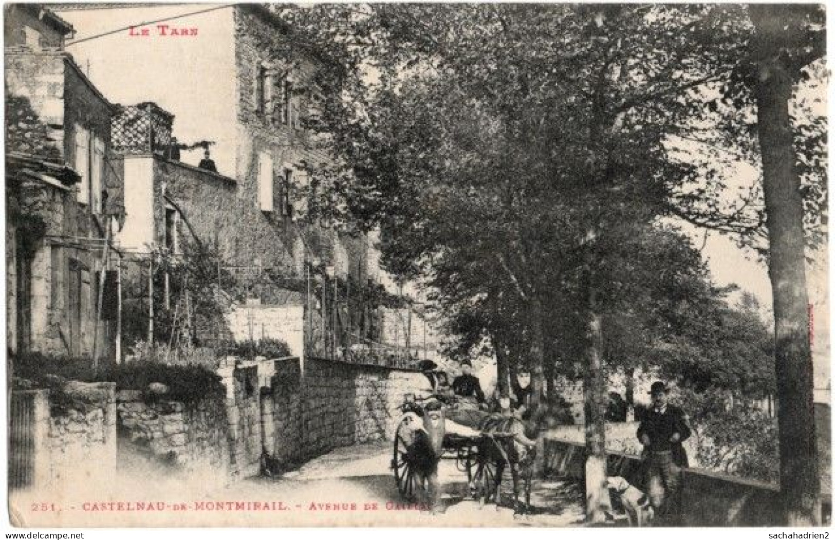 81. CASTELNAU-DE-MONTMIRAIL. Avenue De Gaillac. 251 (2) - Castelnau De Montmirail