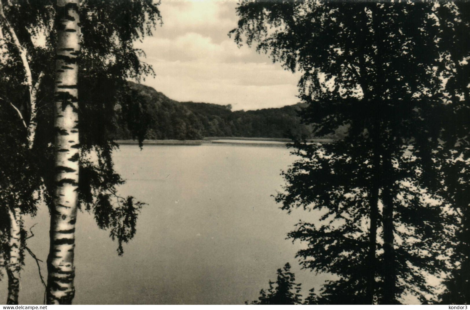 Feldberg. Blick Vom Scholverberg - Feldberg