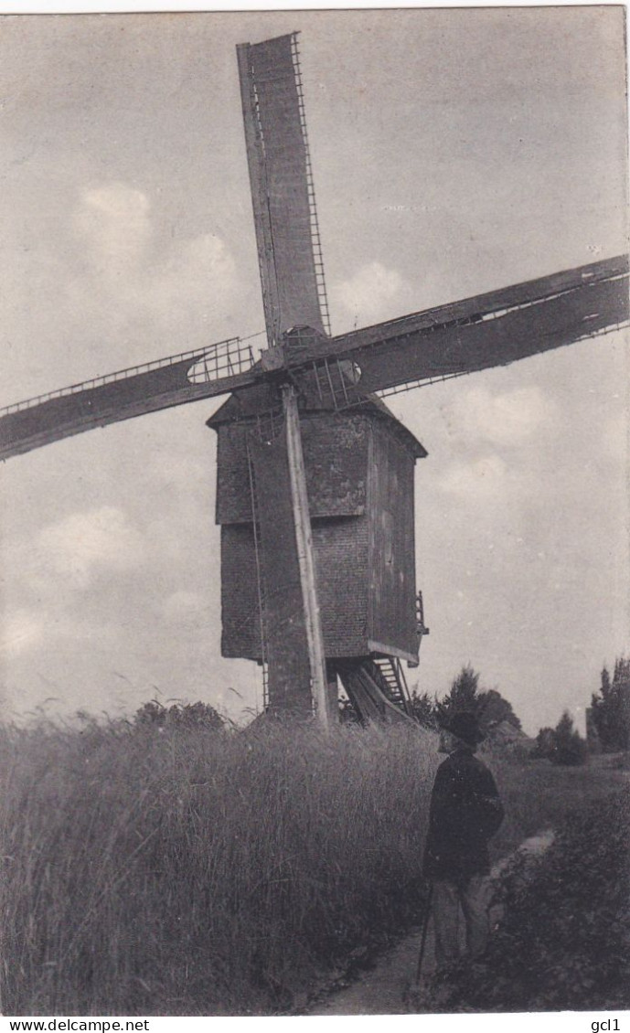 Asse - Molen - Asse