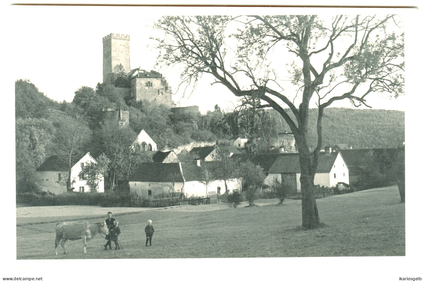 HILLESHEIM Eifel Bei Gerolstein ~1938 Private Ansichtskarte "Bauern Mit Kuh Vor Burg" - Gerolstein