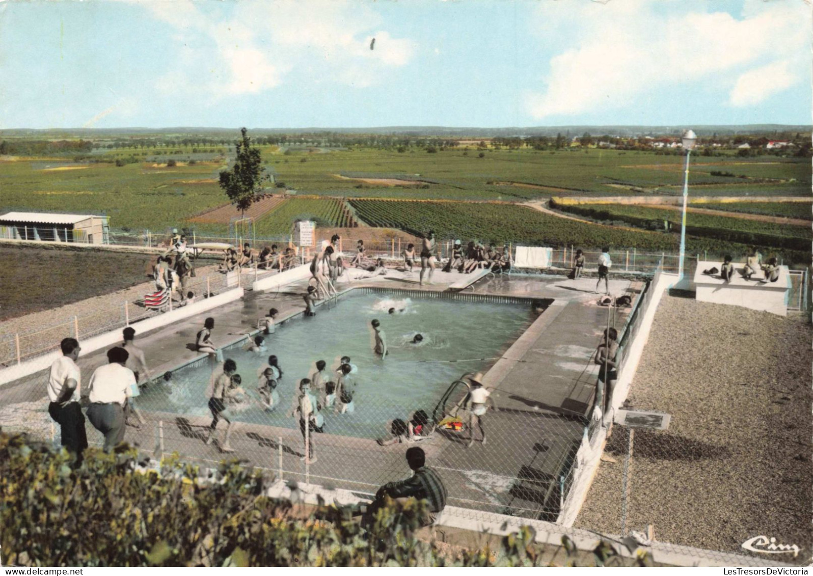 FRANCE - Côte D'or - Meursault - La Piscine - Colorisé - Carte Postale - Sonstige & Ohne Zuordnung