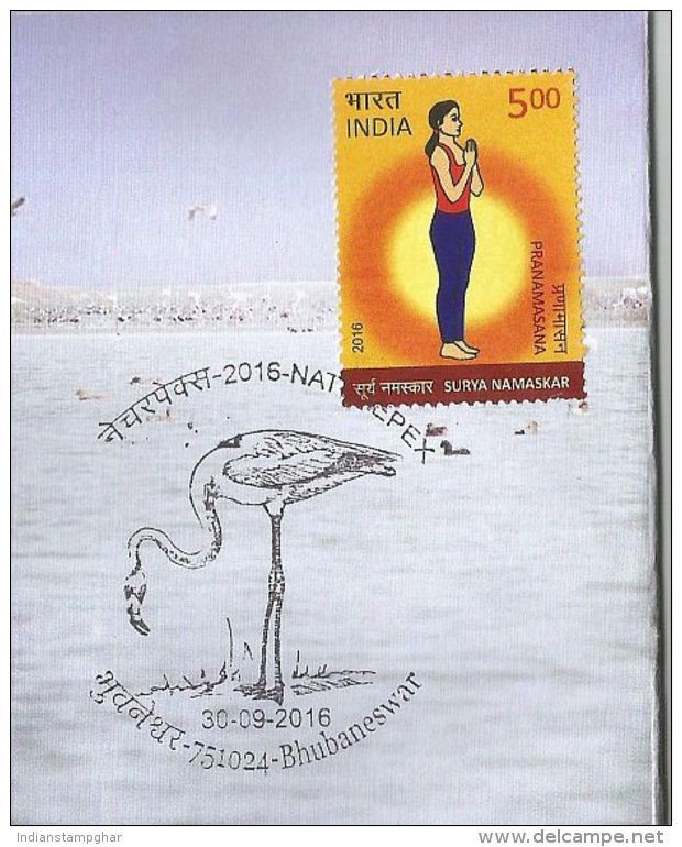 Chilka Lake,Greater Flamingo Pictorial Cancellation,Largest Bracish Water Wetland, Heaven For Birds, Special Cover - Fenicotteri