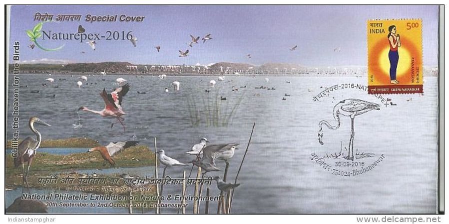 Chilka Lake,Greater Flamingo Pictorial Cancellation,Largest Bracish Water Wetland, Heaven For Birds, Special Cover - Fenicotteri