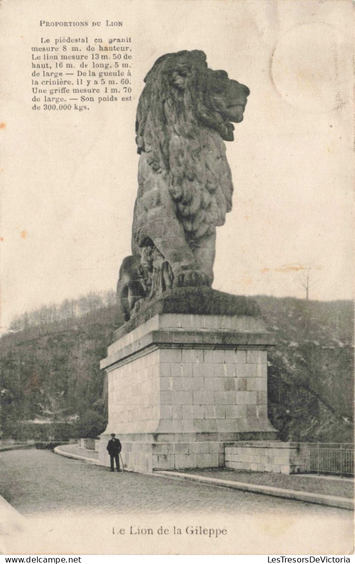 PHOTOGRAPHIE - Proportion Du Lion - Carte Postale Ancienne - Fotografie