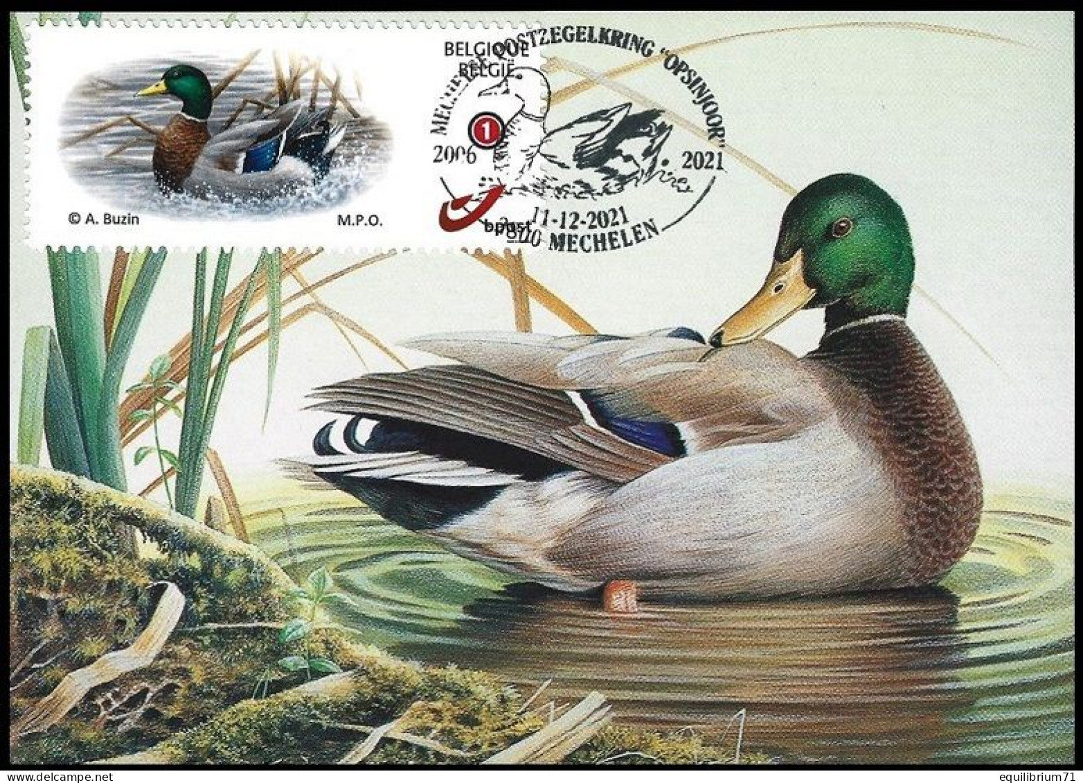 CM / MK (G) - DUOSTAMP° / MY STAMP° - BUZIN - Canard Colvert / Wilde Eend / Stockente / Mallard Duck - MPO - 2011-..