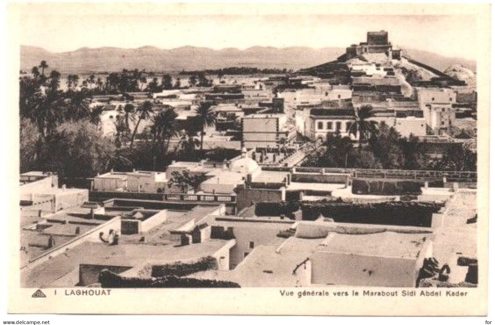 Algérie : LAGHOUAT : Vue Générale Vers Le Marabout Sidi Abdel Kader - Laghouat