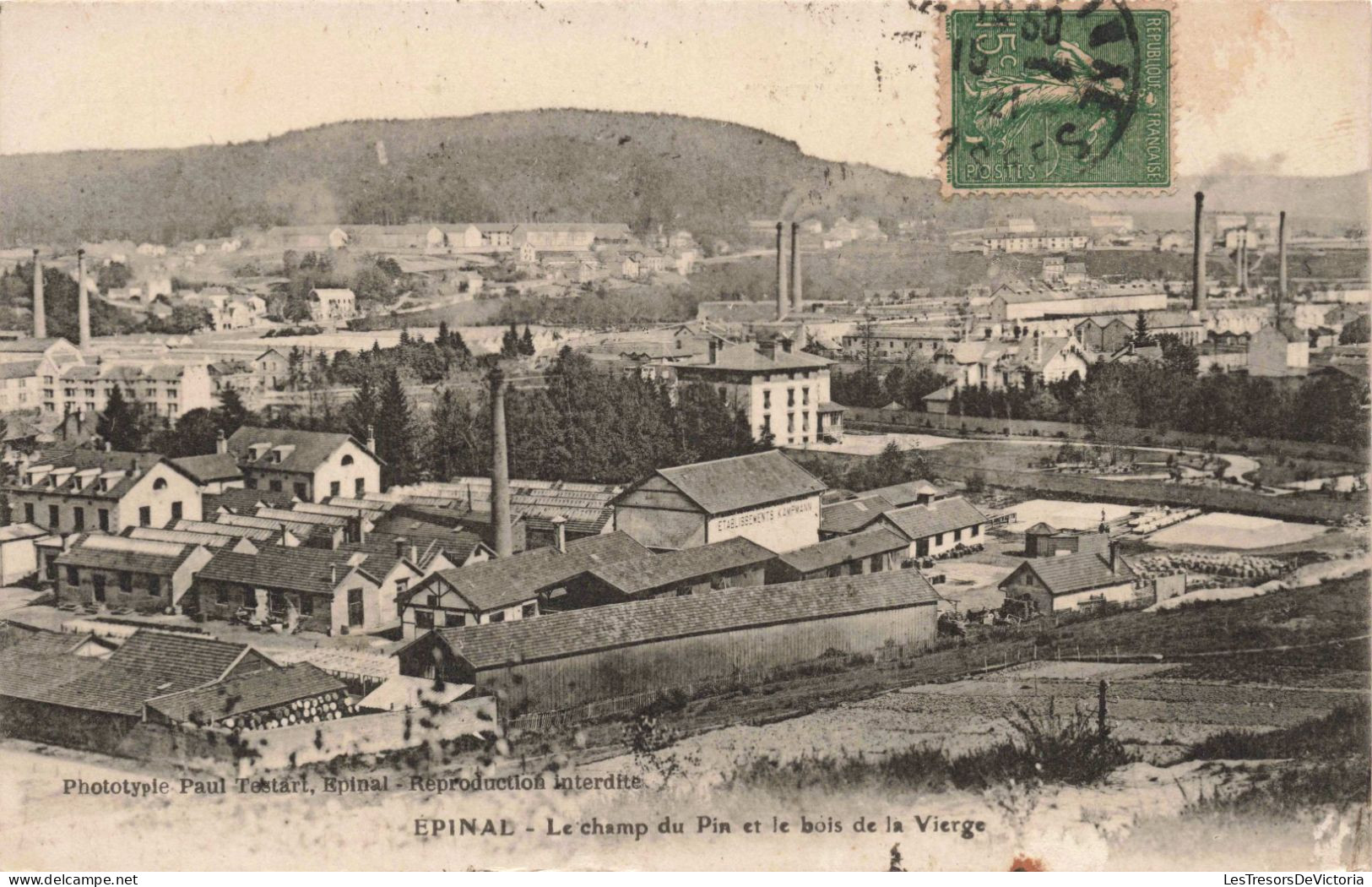 FRANCE - Epinale - Le Champ Du Pin Et Le Bois De La Vierge - Carte Postale Ancienne - Epinal