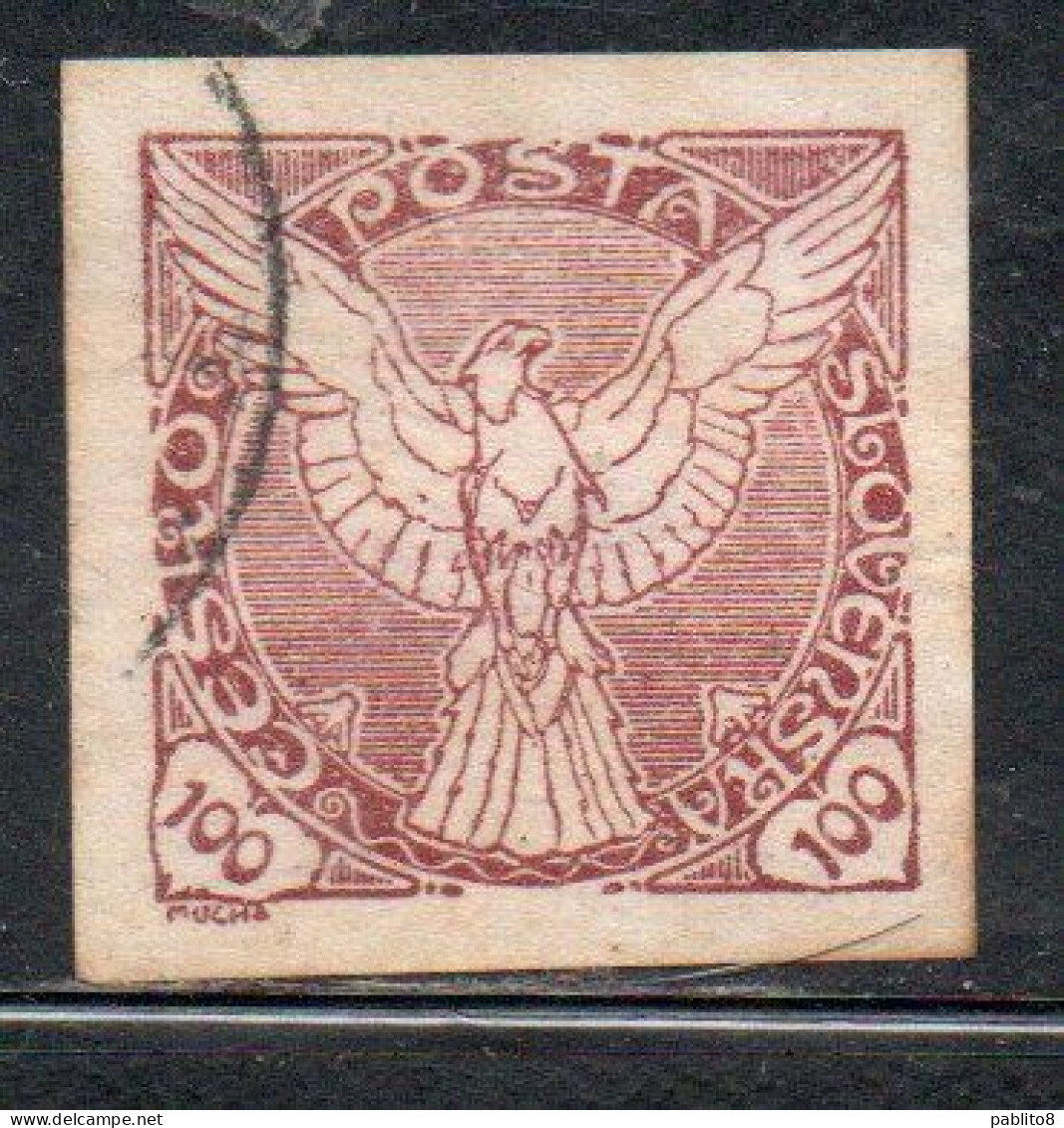 CZECHOSLOVAKIA CESKA CECOSLOVACCHIA 1918 1920 IMPERF. NEWSPAPER STAMPS WINDHOVER 100h USED USATO OBLITERE' - Zeitungsmarken