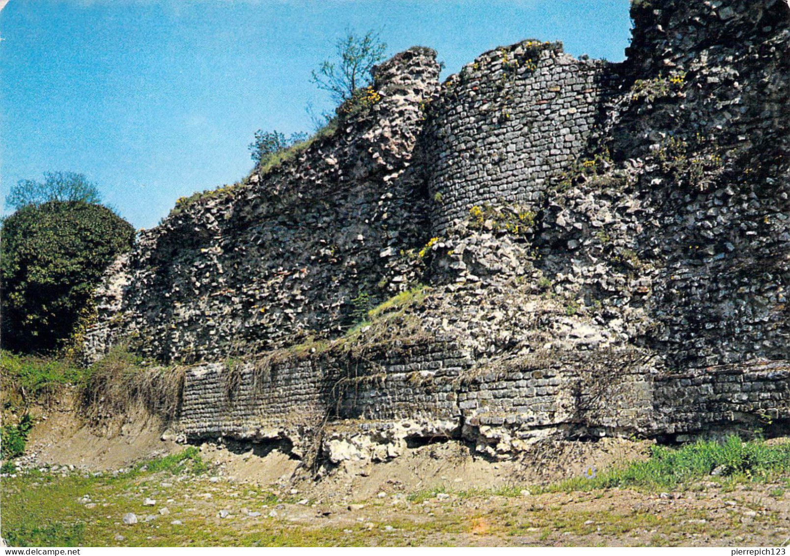 59 - Bavay -Site Archéologique - Le Mur Sud Et L'Enceinte Antique - Bavay
