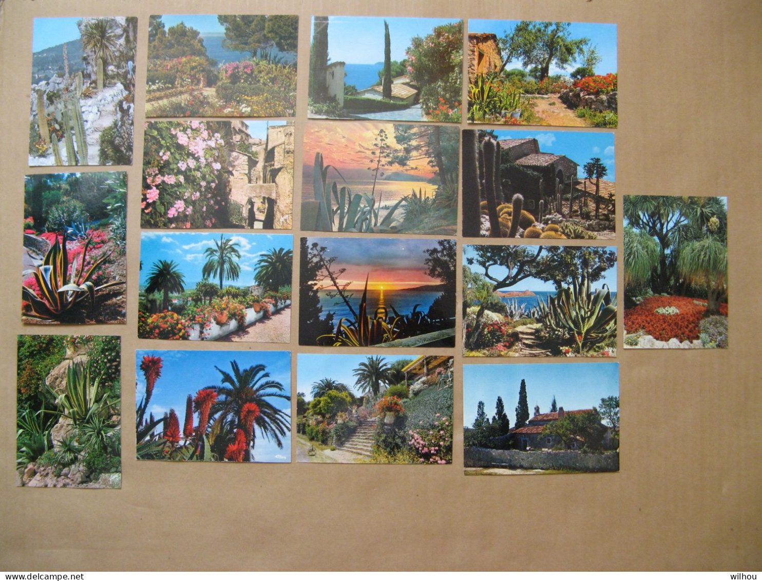 LOT DE 16 CPSM COULEURS PLANTES ET FLEURS COTE D'AZUR NEUVES NON CIRCULEES ET TOUTES  DIFFERENTES - Cactusses