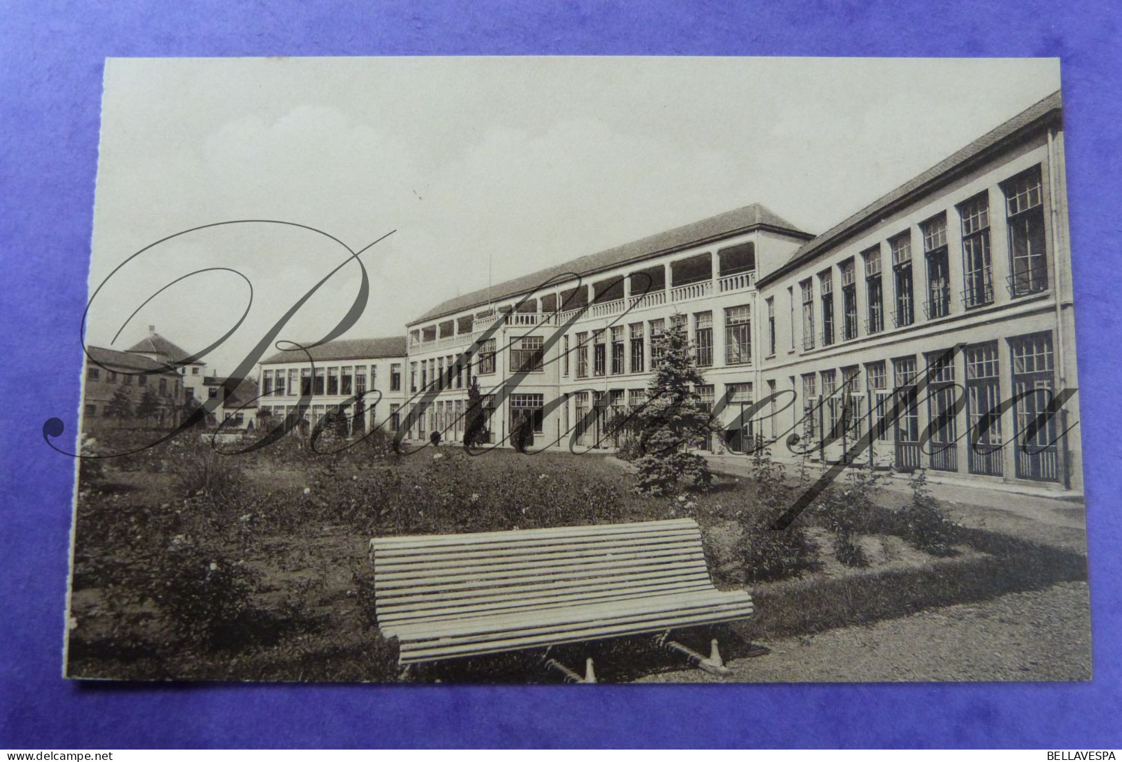 Sijsele Lot x 25 postkaarten Sanatorium Healt