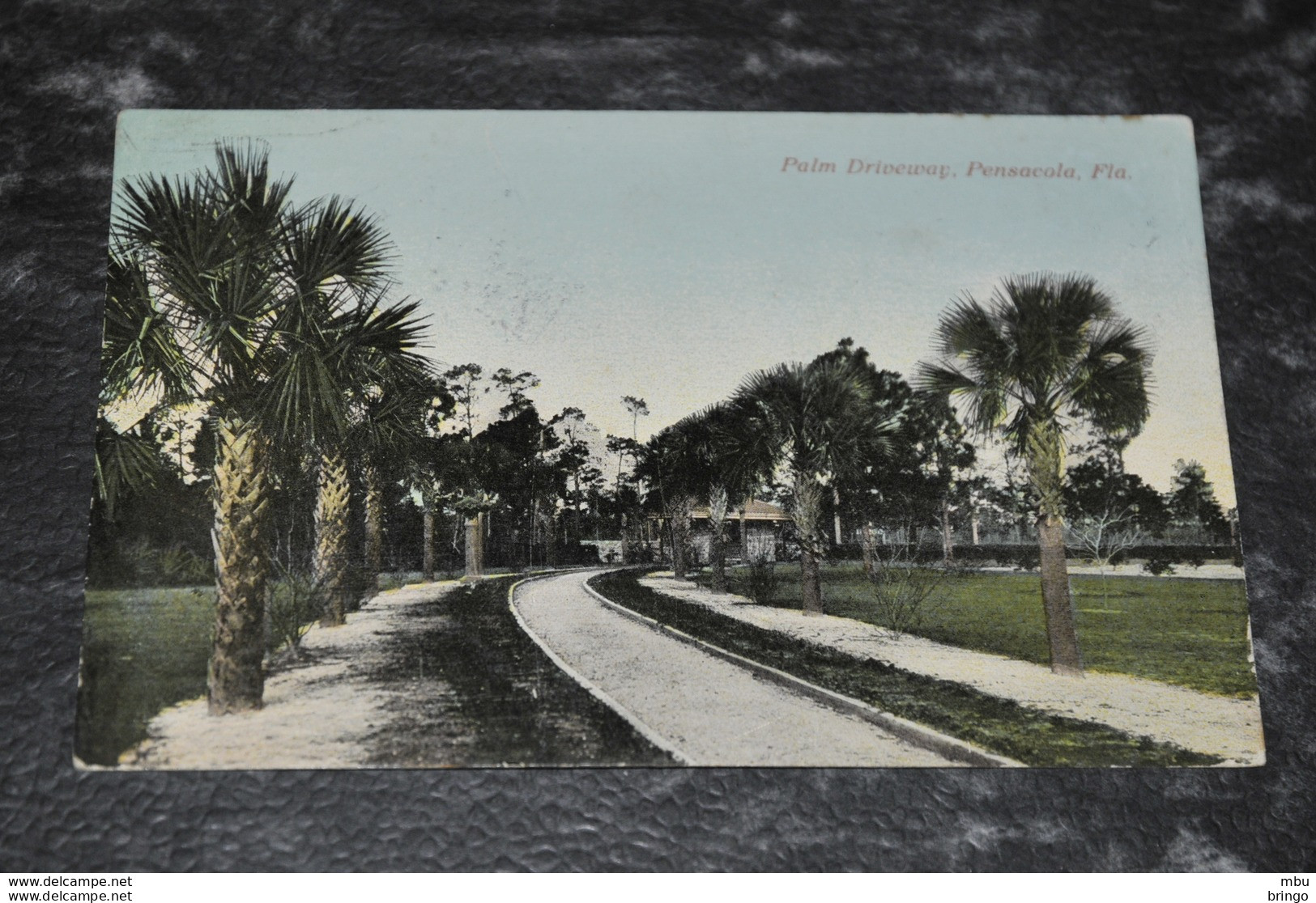 A1427   Palm Driveway   Pensacola   1912 - Pensacola