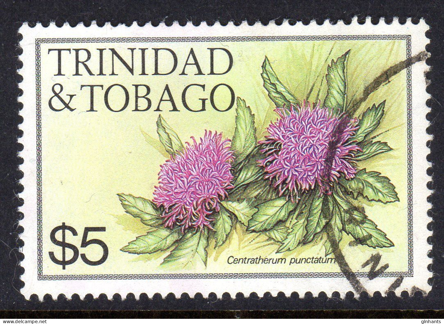 TRINIDAD & TOBAGO - 1983 FLOWERS $5 STAMP W14 S/W No IMPRINT FINE USED SG 650A - Trinidad & Tobago (1962-...)