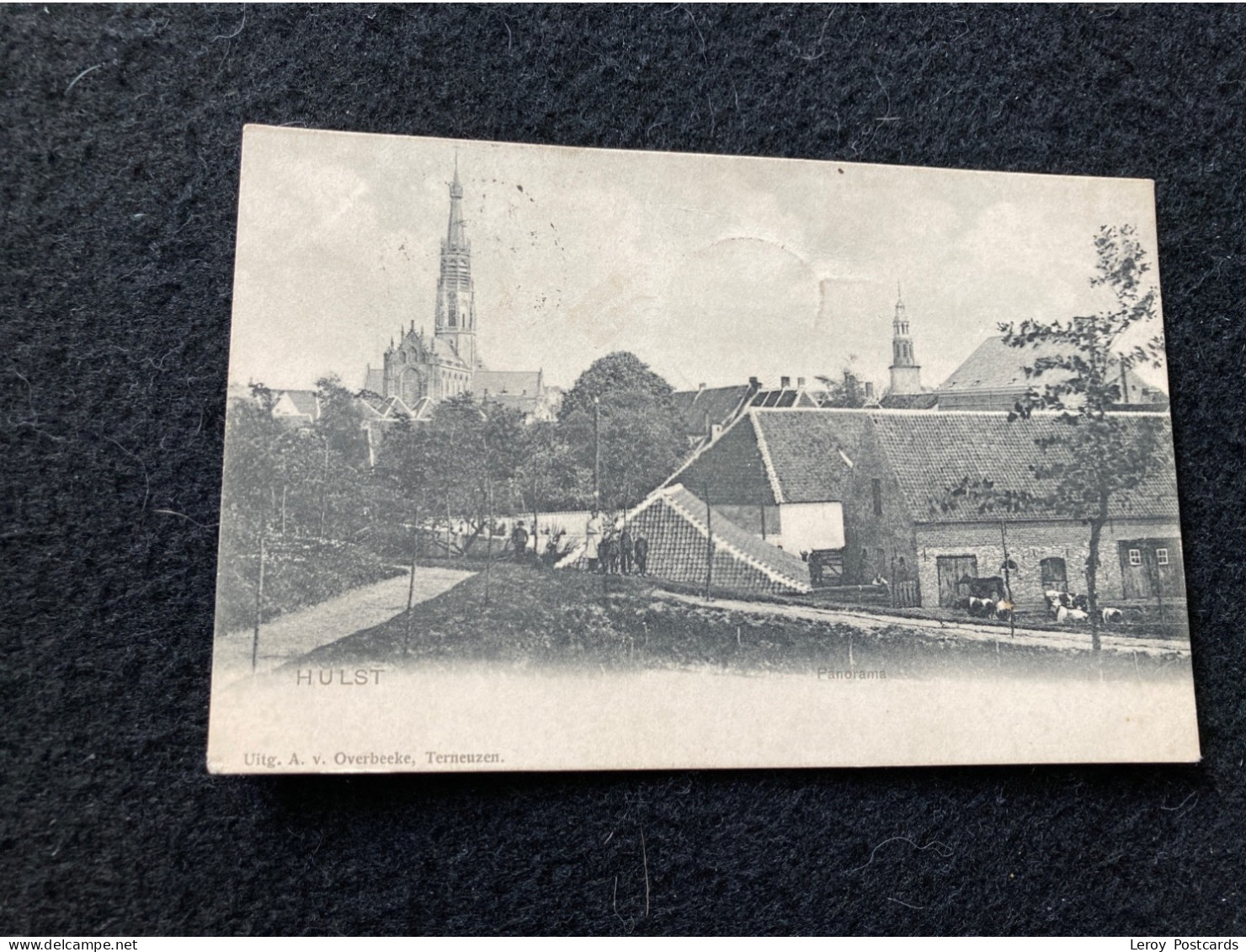 A198 Hulst Panorama Dorp Met Kerk 1903 - Hulst