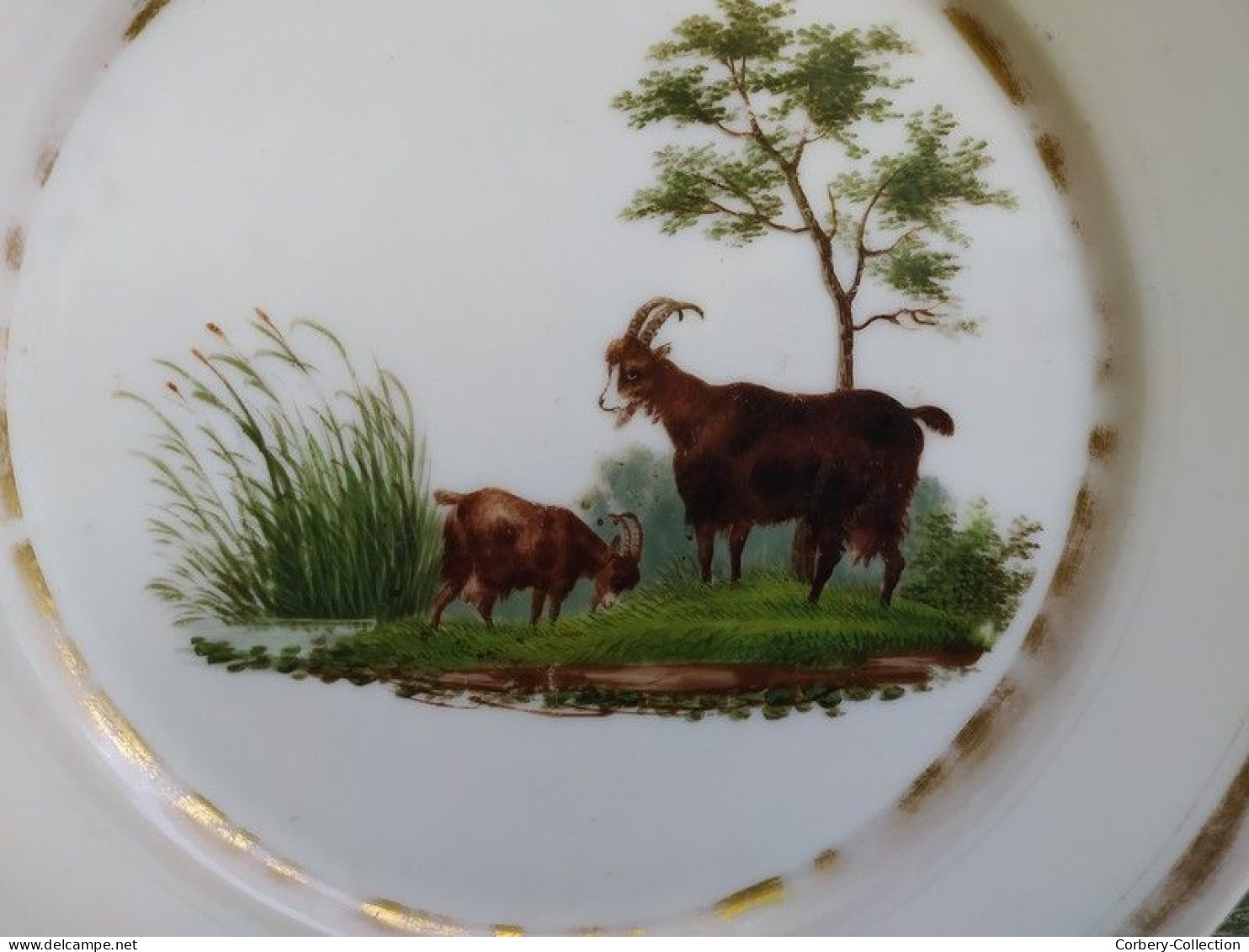 Ancienne Assiette Porcelaine De Paris XIXème Décor Chèvre Avec Son Petit. - Sonstige & Ohne Zuordnung