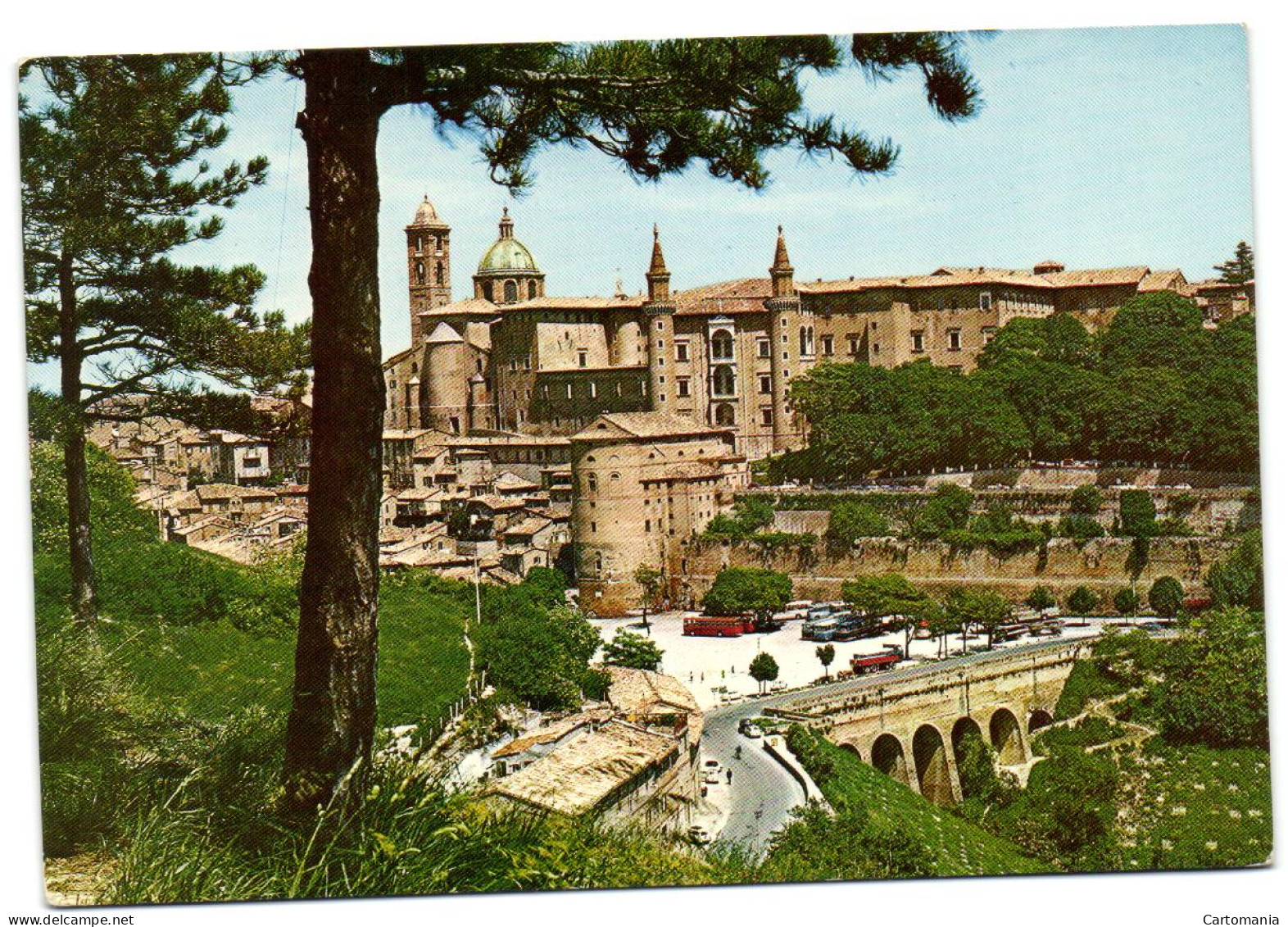 Urbino - Panorama - Urbino