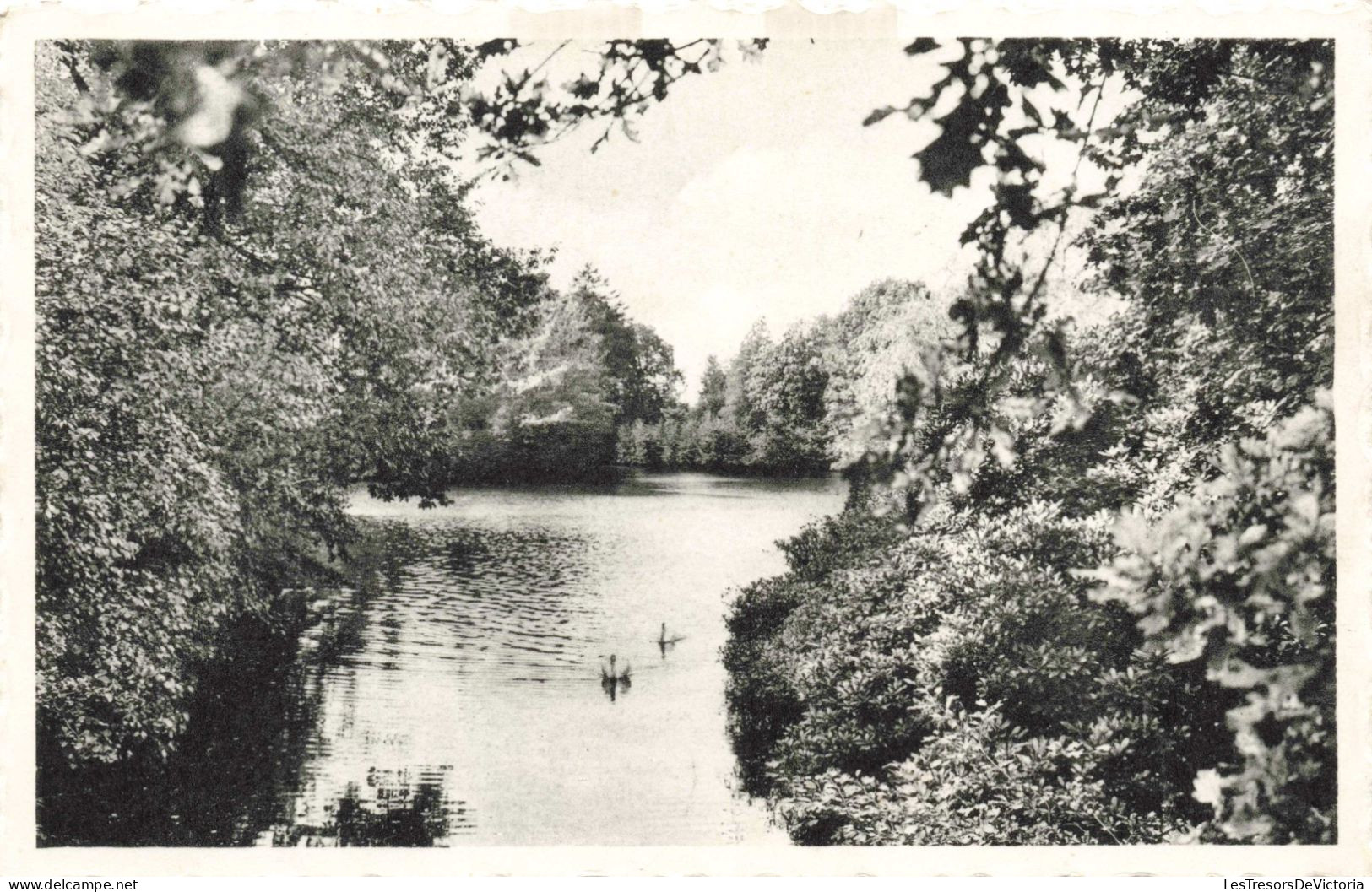 BELGIQUE - Herstellingsoord - Maison De Convalescence "Levenslust" - Retie "Klein Hoef" - Carte Postale Ancienne - Wuustwezel