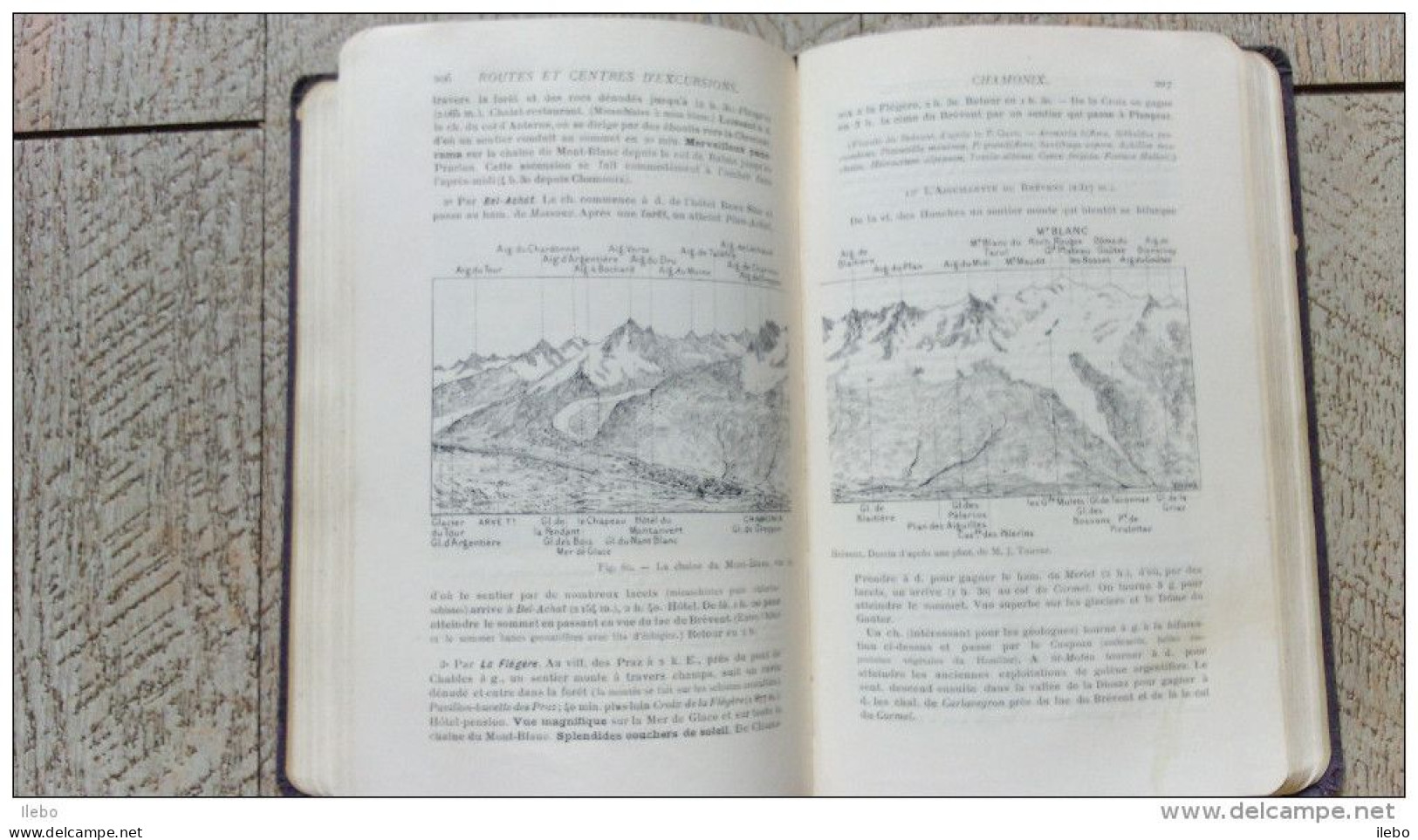 La Haute Savoie Guide Du Touriste Naturaliste Et Archéologue De Le Roux 1902 Cartes Mont Blanc Glacier - Auvergne