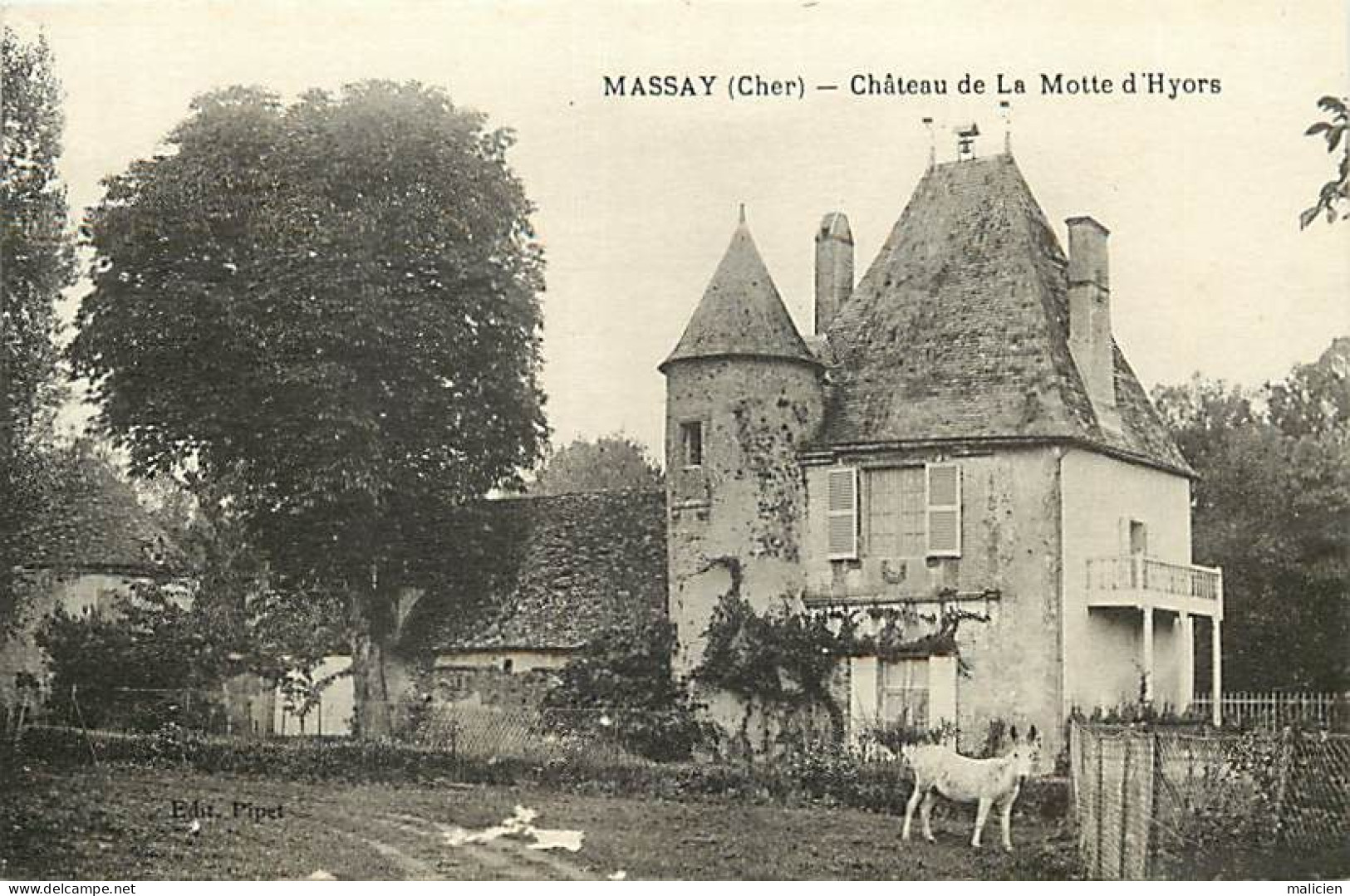 - Cher -ref-869- Massay - Chateau De La Motte D Hyors  - Châteaux - âne - ânes - - Massay